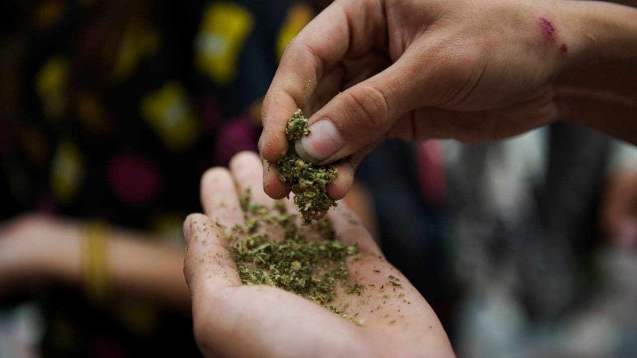 Jak wykorzystać nasiona marihuany w kuchni? Trzy pomysły dla każdego