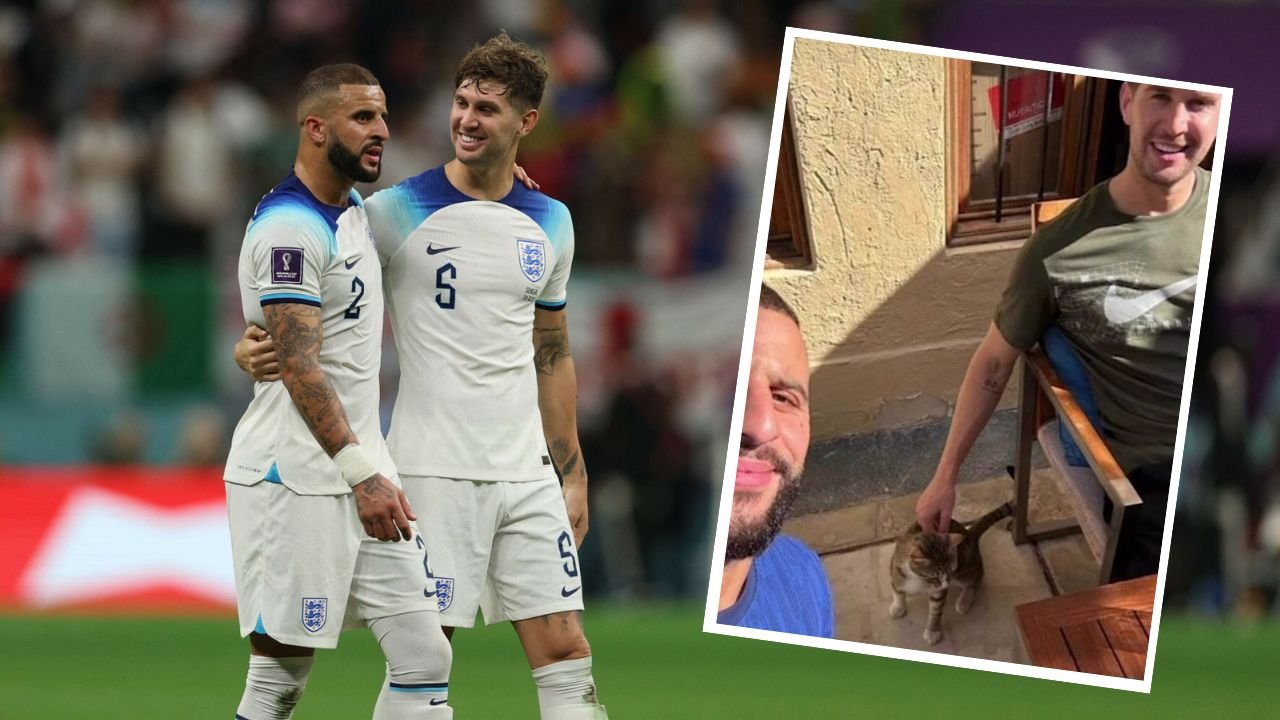 Angielscy piłkarze znaleźli kotka w Katarze... I zachowali się po mistrzowsku!