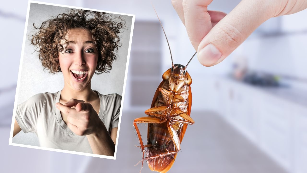 Chcesz nazwać karalucha imieniem swojego byłego? Zaskakujący pomysł ZOO podbija sieć!