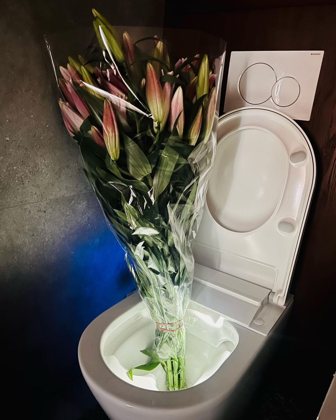 lilie stojące w toalecie