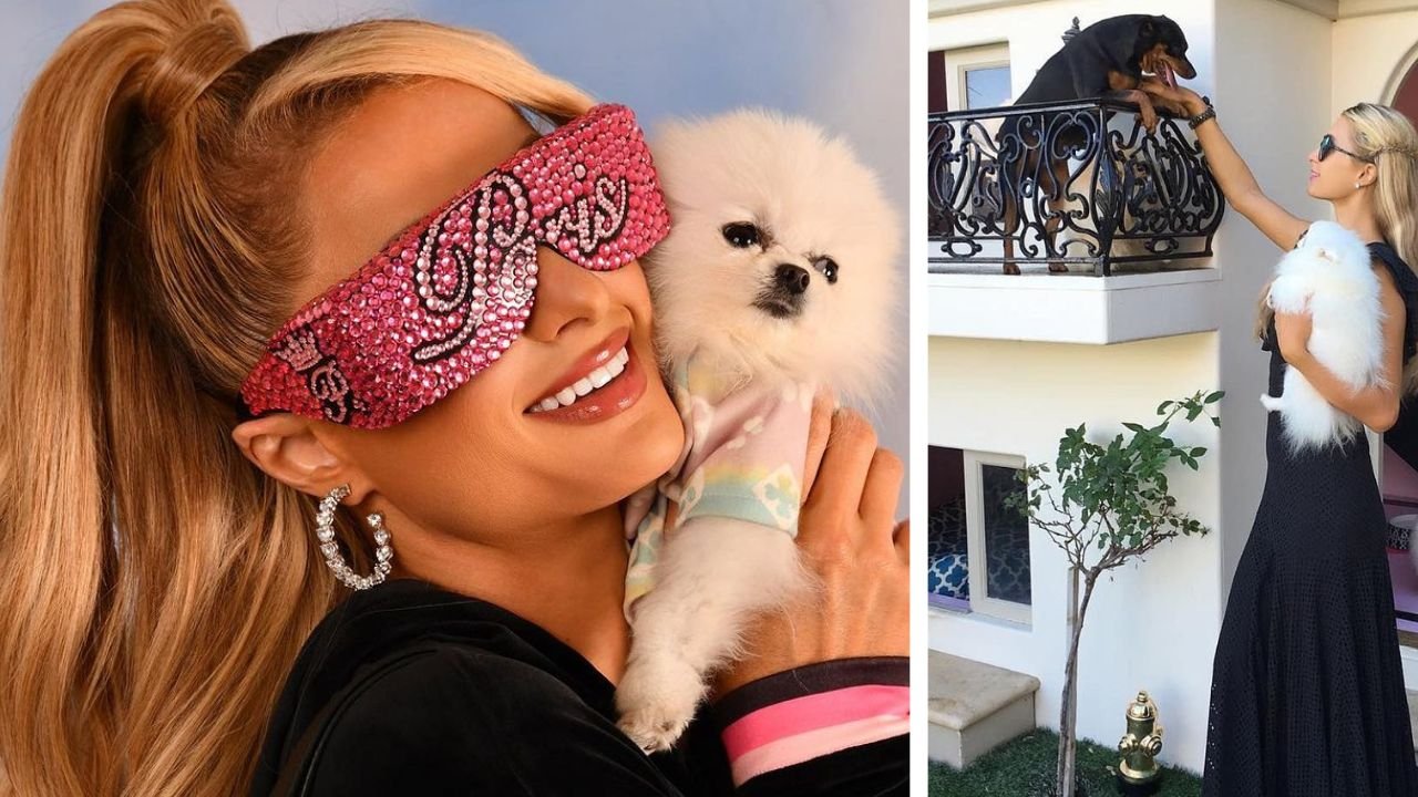Paris Hilton pokazała swoje kudłate czworonogi. Mają własną willę... To dopiero pieskie życie!