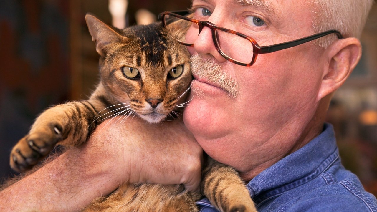 "Znalazłem kota na ulicy. Uratowanie mu życia było najlepszą decyzją, jaką mogłem wtedy podjąć"