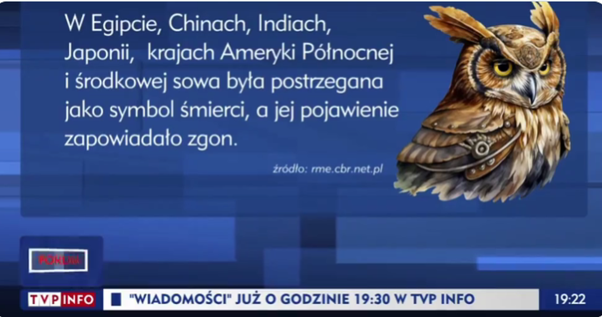 Szymon Hołownia jako sowa w TVP