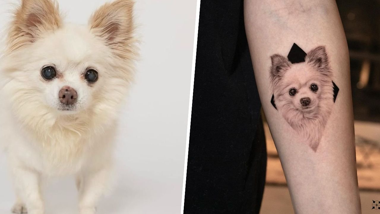 Tatuażystka robi niesamowite tatuaże zwierząt domowych. Wyglądają, jak żywe