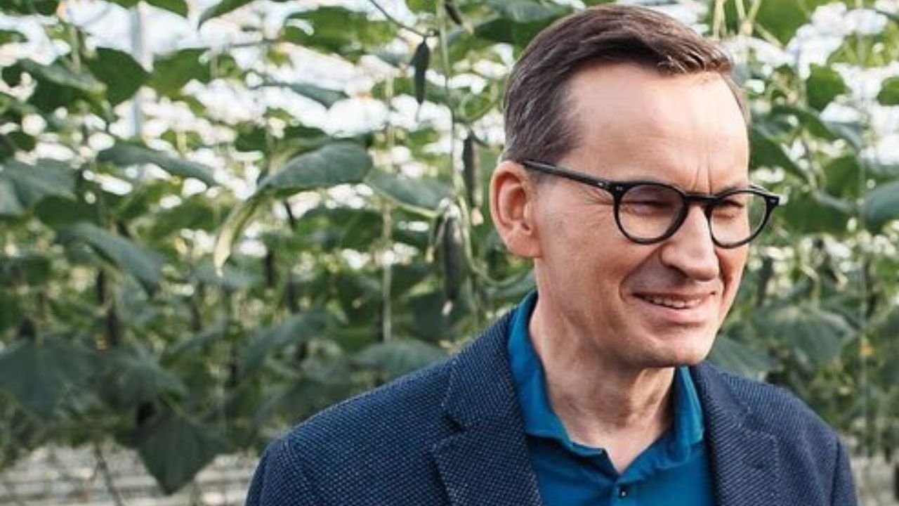 Mateusz zrobił mema. Wygląda jakby świeżak właśnie odkrył istnienie grafiki