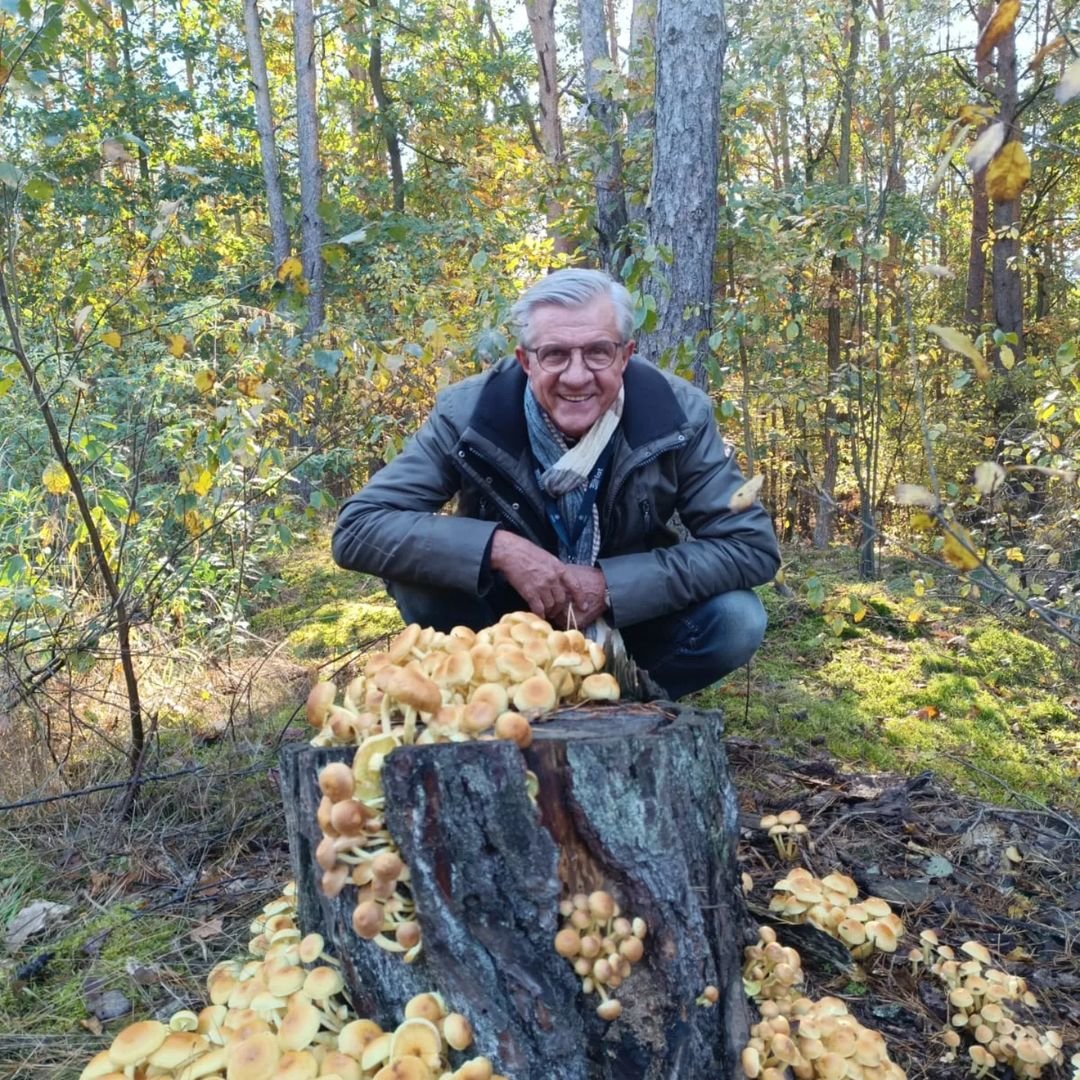Zygmunt Chajzer z grzybami rosnącymi na pieńku, kuca w lesie