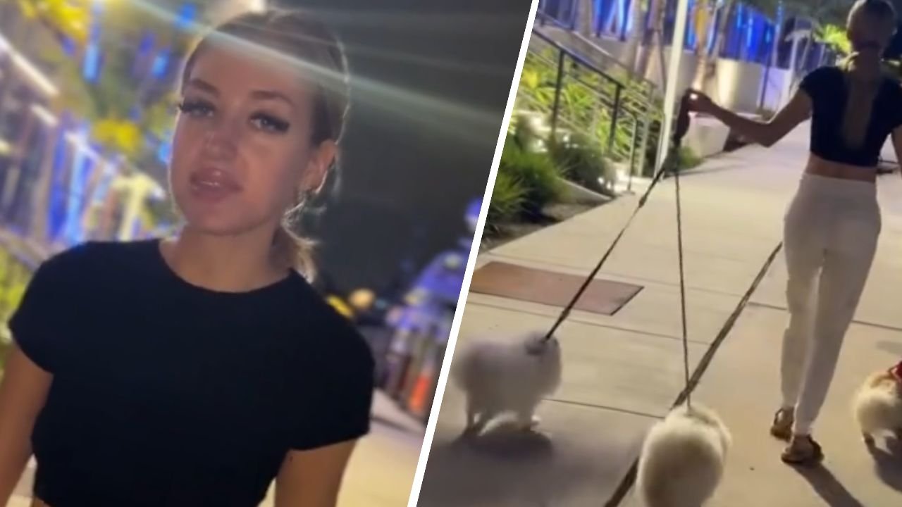 Caroline Derpieński wyprowadza pieski. Wzięła zlecenie, lecz naród dziwi się cenie [wideo]