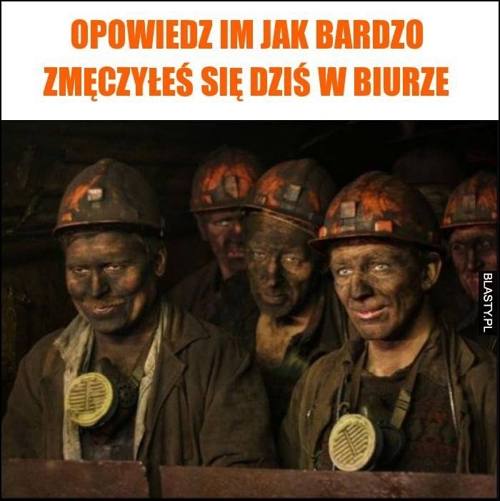 Memy o barbórce