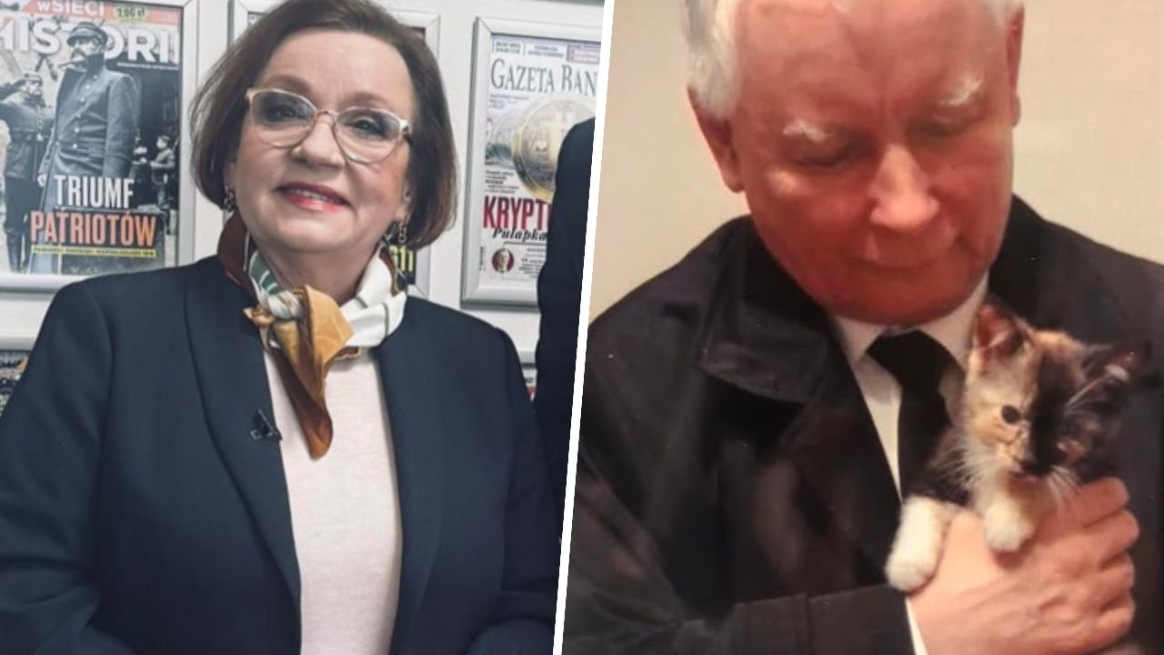 Anna od Jarka pokazała zdjęcie swojego szefa z futrzakiem w Światowym Dniu Kota. Przy okazji przymiliła się 75-latkowi [zdjęcia]
