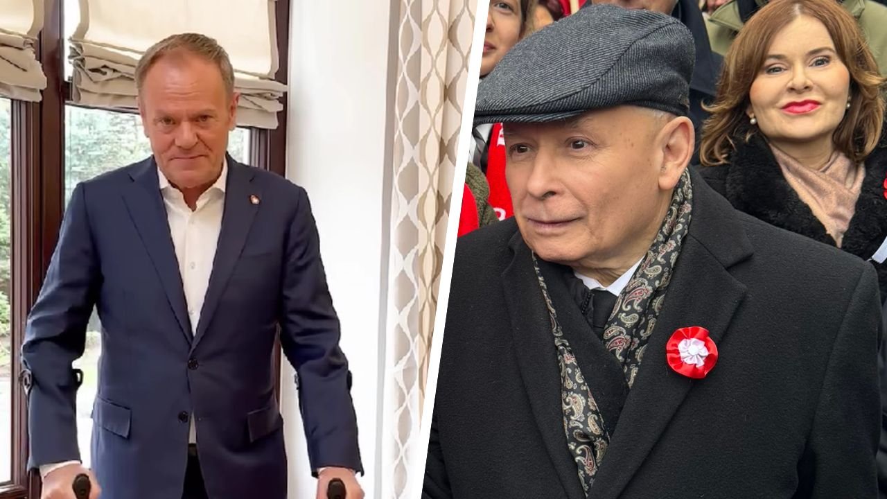 Yarosław i Donaldinho w alternatywnej rzeczywistości to najlepsi psiapsi. Zabawne i wzruszające wideo hitem sieci
