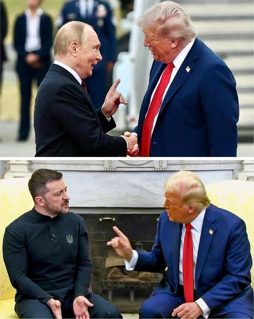 Mem z Putinem, Zełenskim, Trumpem