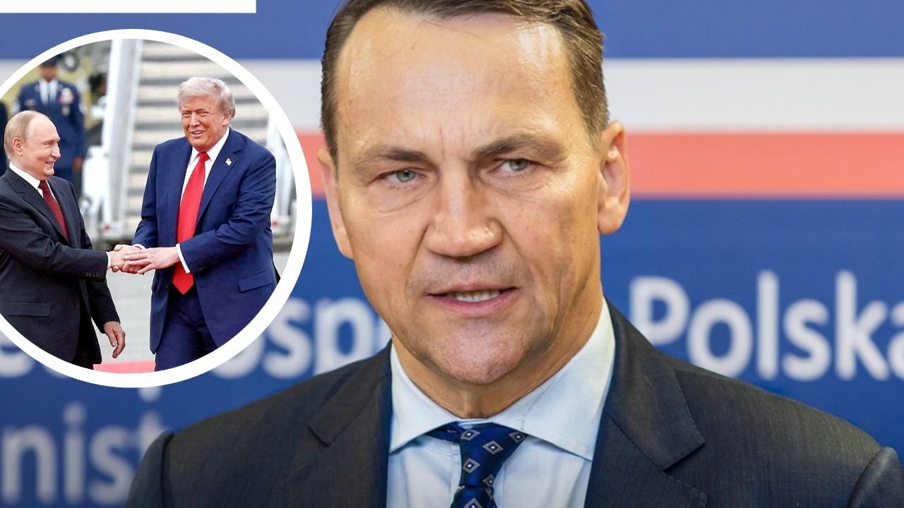 Sikorski jednym zdaniem zgasił Trumpa. Poszło o zdradę Polski. "Dobitniej się nie dało"