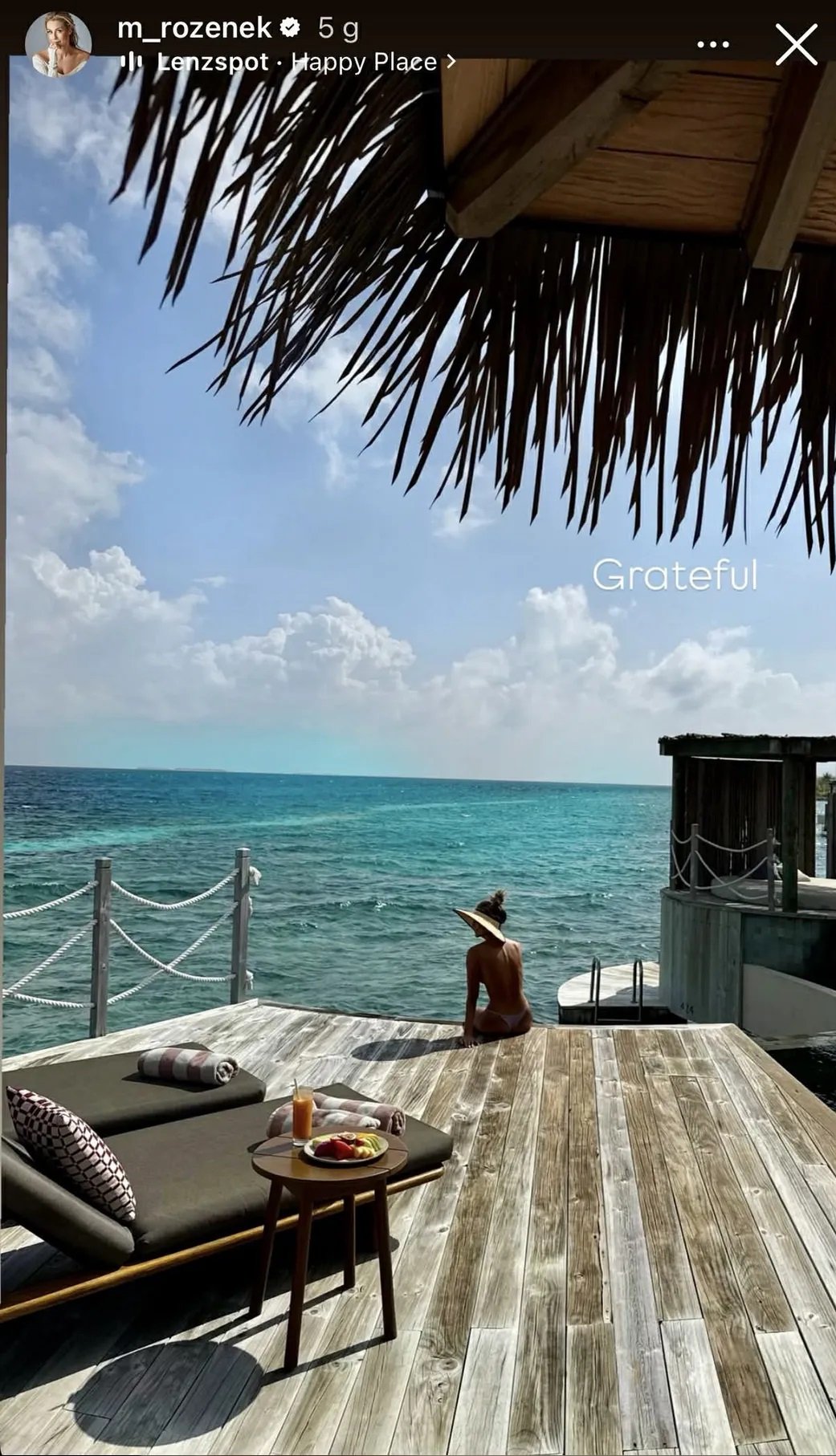 małgorzata rozenek-majdan topless