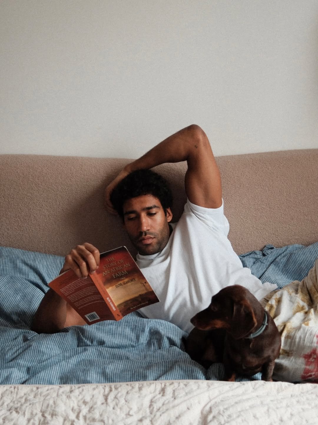 gamour fall w łóżku