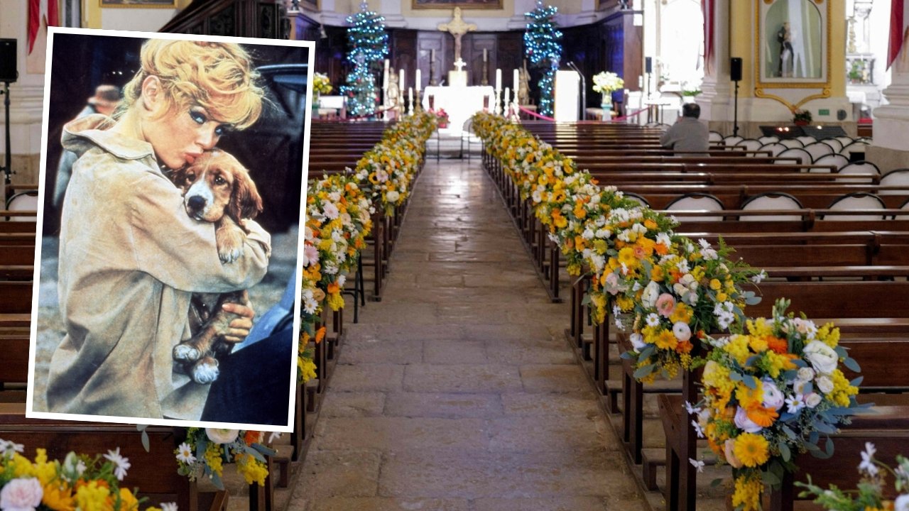 Pogrzeb Brigitte Bardot. Niewiarygodne, w czym ją pochowano. Jednak to, co zrobił jeden pies wyciska łzy [dużo zdjęć]