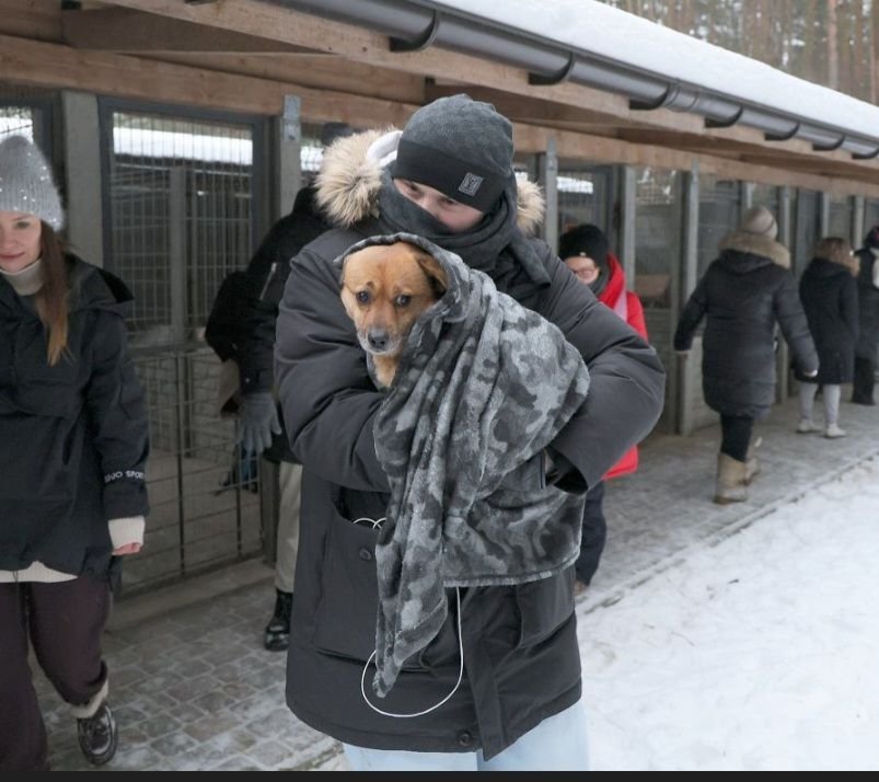 Ewakuacja zwierząt ze schroniska happy dog w sobolewie