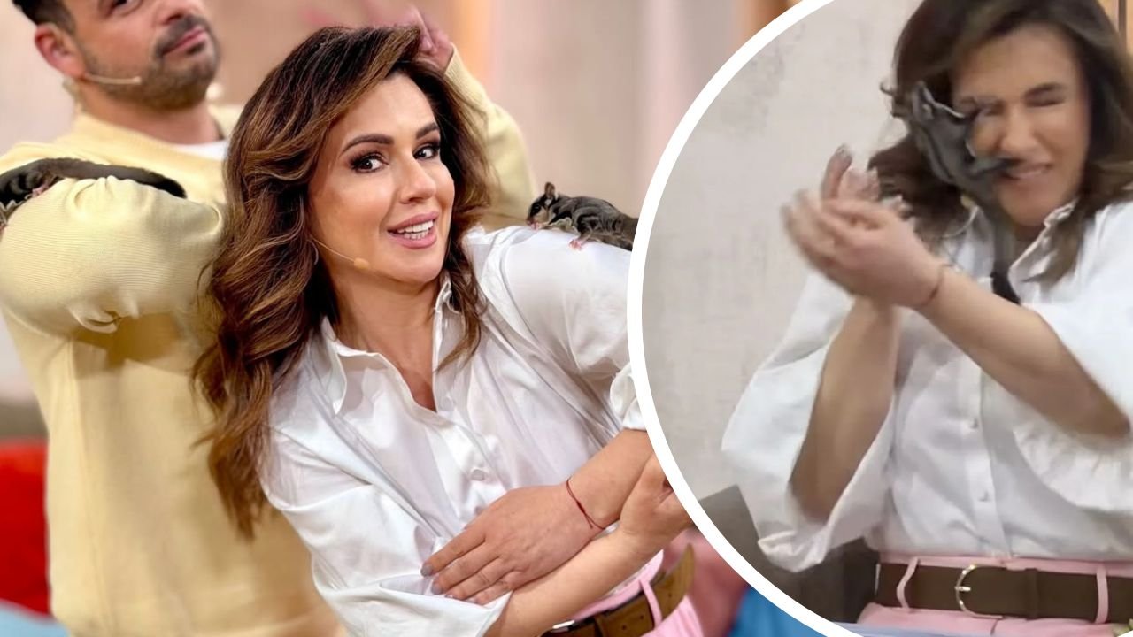 Beata Tadla zaatakowana przez egzotyczne zwierzę na wizji. Gwiazda nie gryzła się w język [wideo]