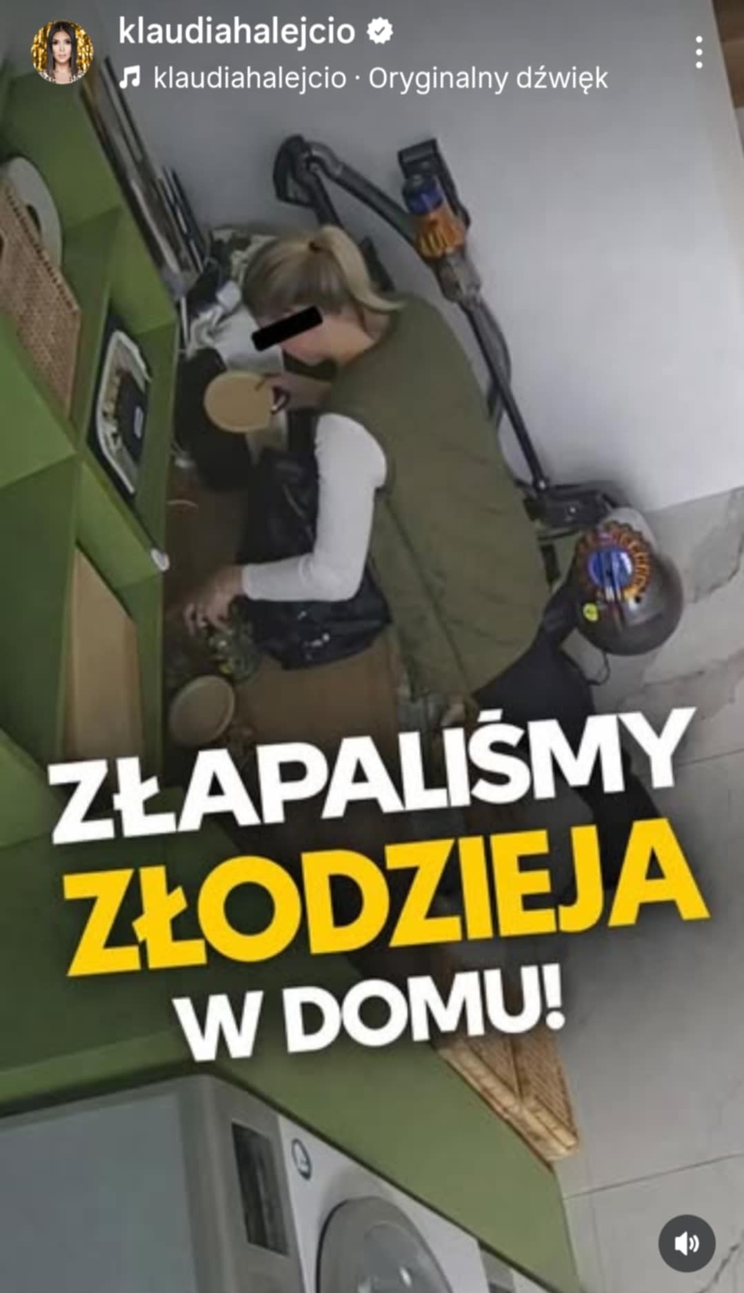 zdjęcie pokazujące pomoc domową