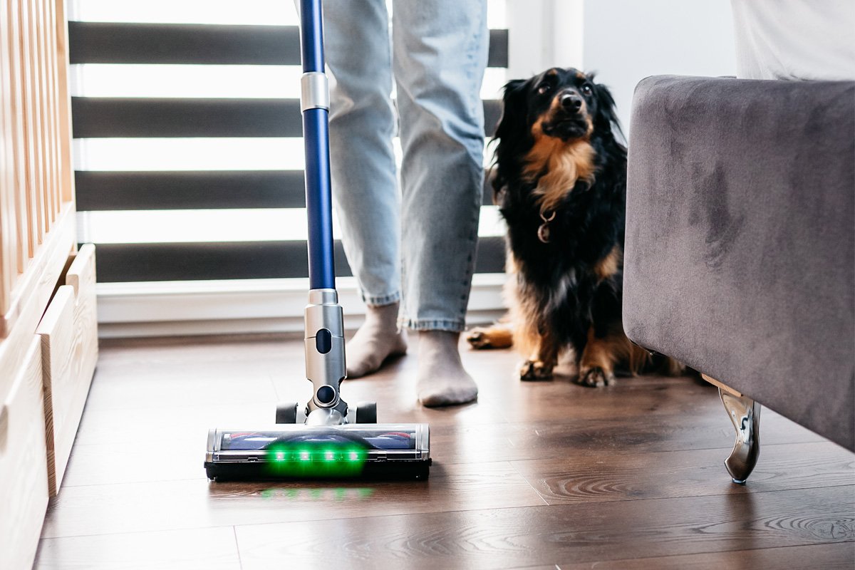 Odkurzanie odkurzaczem pionowym sierści zwierząt