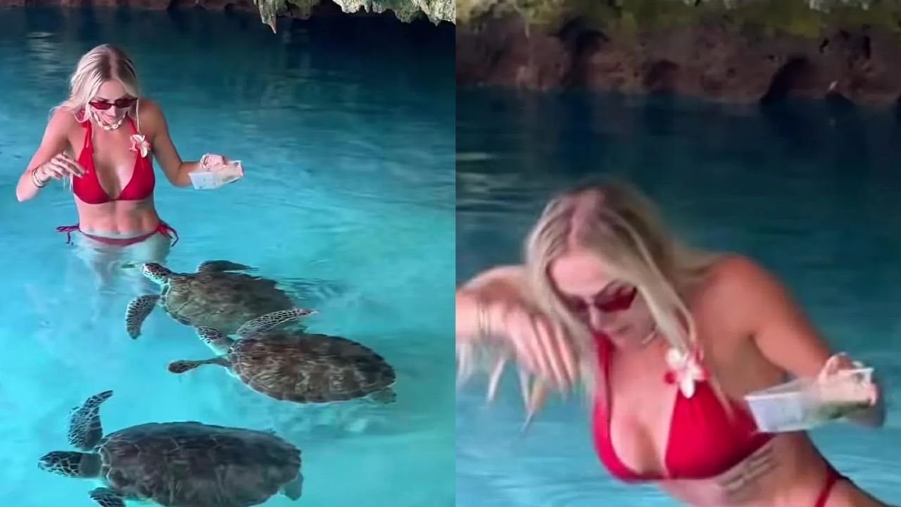 Eliza Trybała w mikroskopijnym bikini zaatakowana przez żółwia. Myślała, że będzie uroczo, a skończyło się krzykiem [wideo]