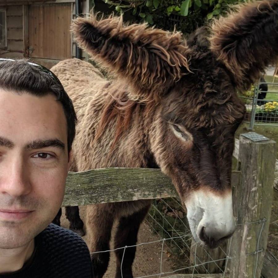 dorosły Maciej Koterski