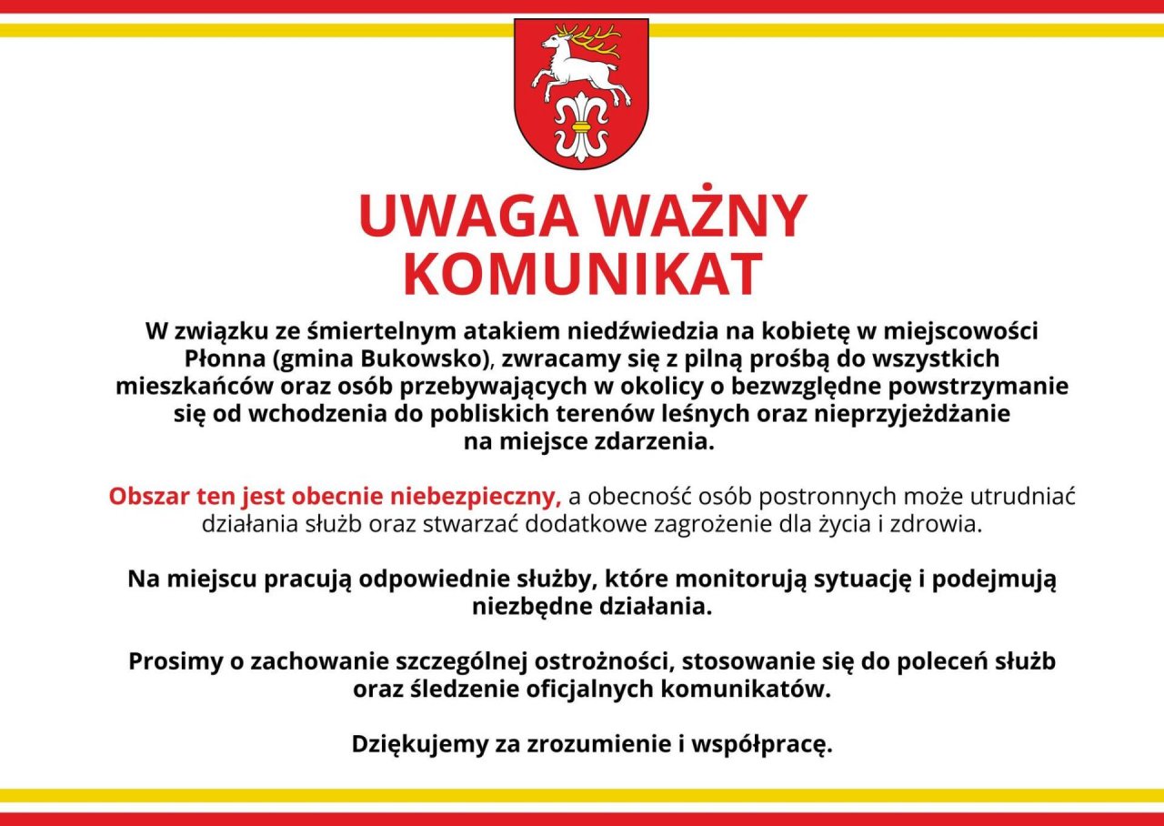 Ogłoszenie ostrzegające przed niedźwiedziami w gminie bukowsko - podkarpacie atak niedźwiedzia