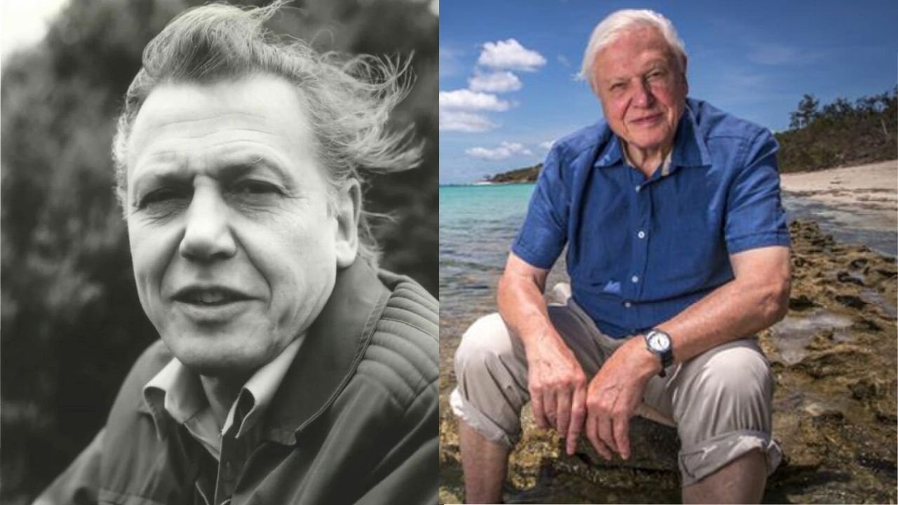 David Attenborough kończy 100 lat. To on wymyślił "ten mały przedmiot", historia wbija w fotel
