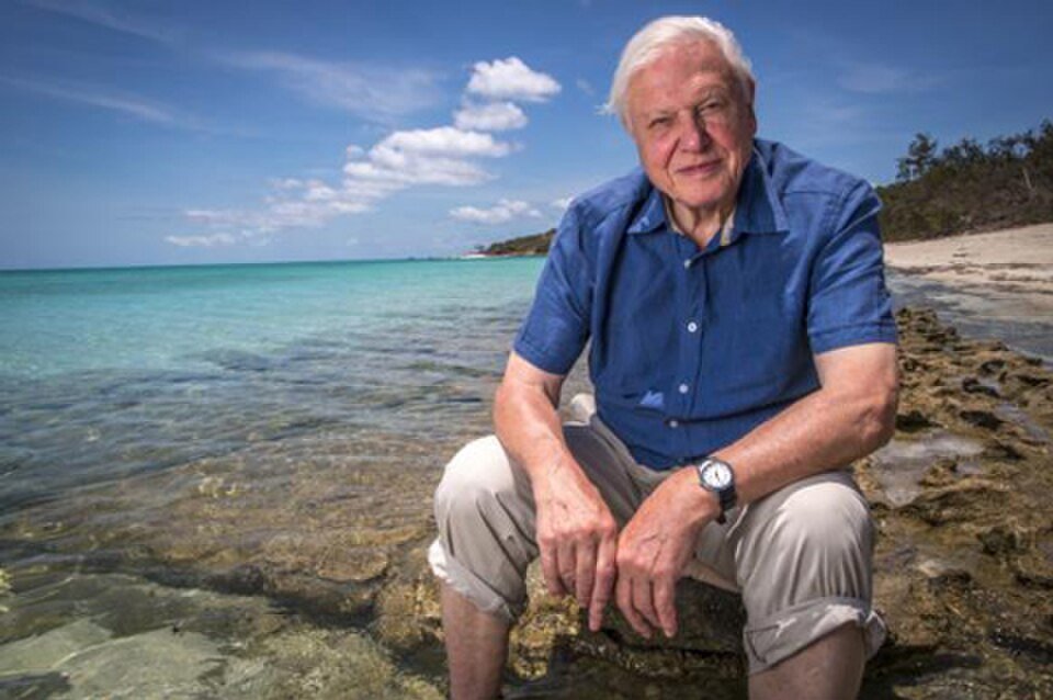Sir David Attenborough i Wielka Rafa Koralowa, 2015 rok