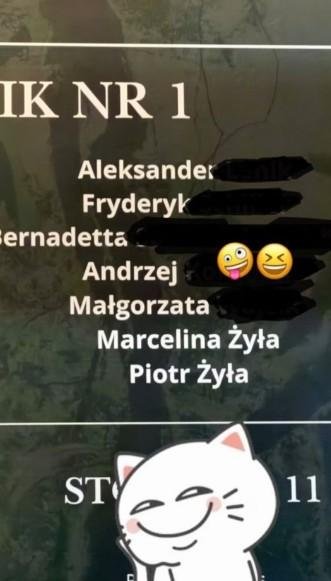 napisy