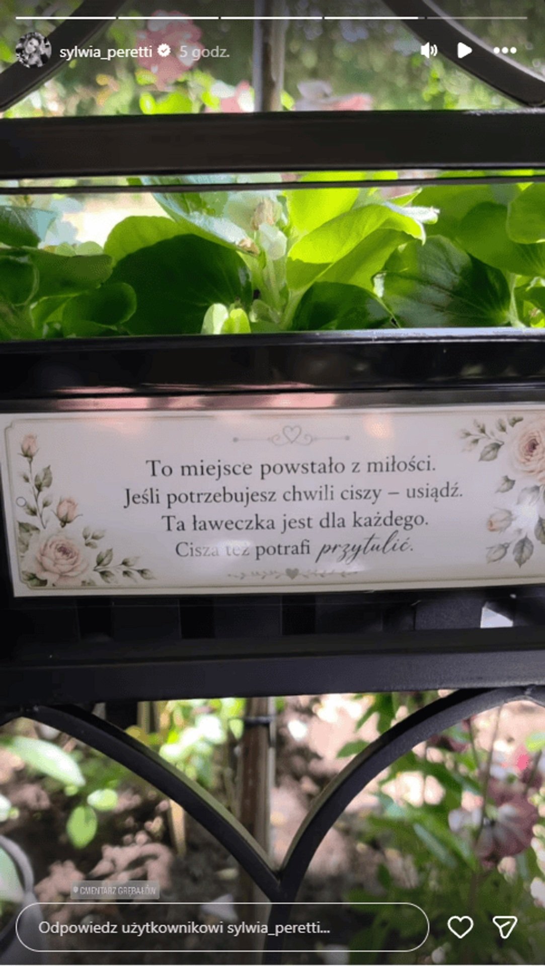 tabliczka na grobie syna sylwii peretii