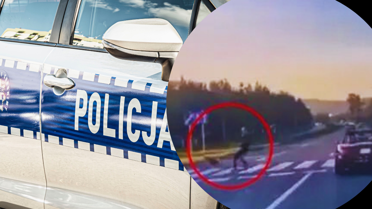 51-latek zginął na pasach podczas spaceru z psem. Biegły nie ma złudzeń: "On nie miał tutaj szans" [wideo]