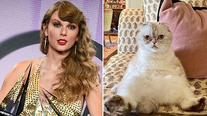 Kot Taylor Swift to jeden z najbogatszych zwierzaków świata. Nie uwierzycie, ile jest wart!