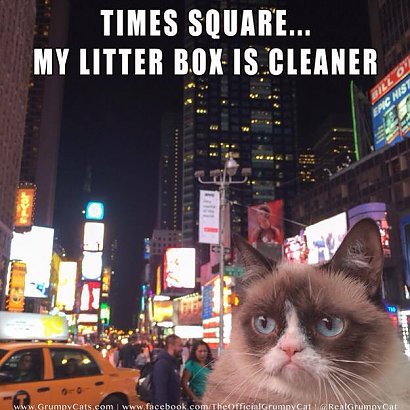 Times Square... Moja kuweta jest czystsza 