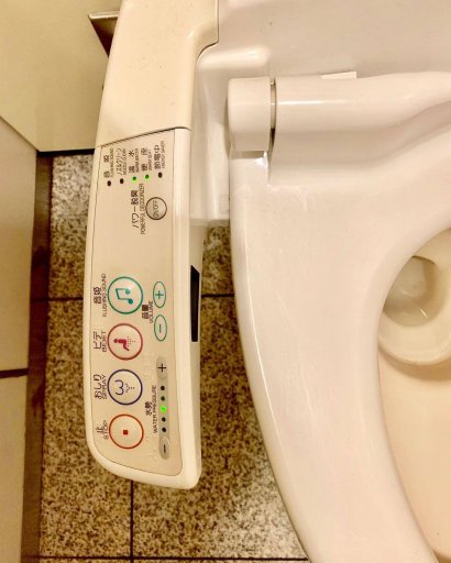 Pewnie słyszałaś już o japońskich toaletach - podmywają pupę, a także odtwarzają muzykę podczas korzystania z łazienki