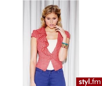 Styler