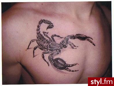 Skorpion - Tatuaże