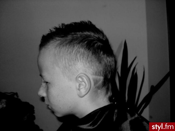 Punk Rock Alternatywne Średnie Fryzury