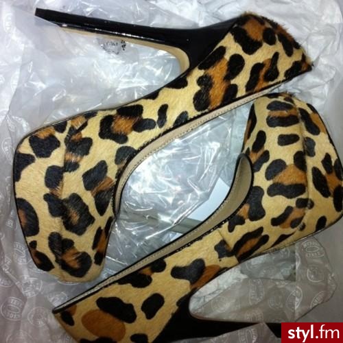 Szpilki Buty Moda