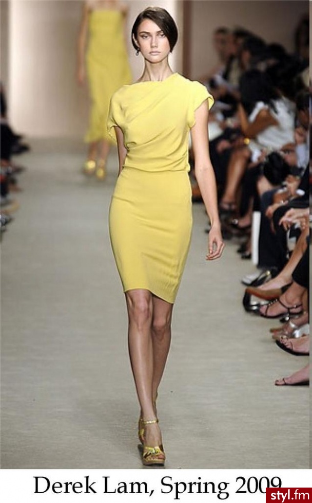 Derek Lam. - Pozostałe Ciuchy Moda