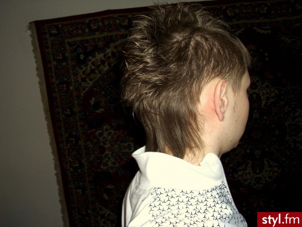 iro - Punk Rock Alternatywne Średnie Fryzury