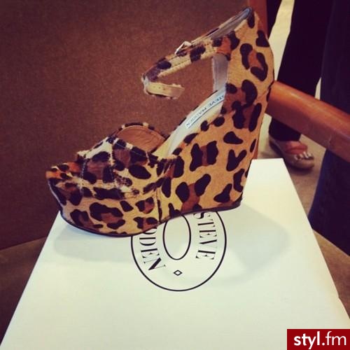 Koturny Buty Moda
