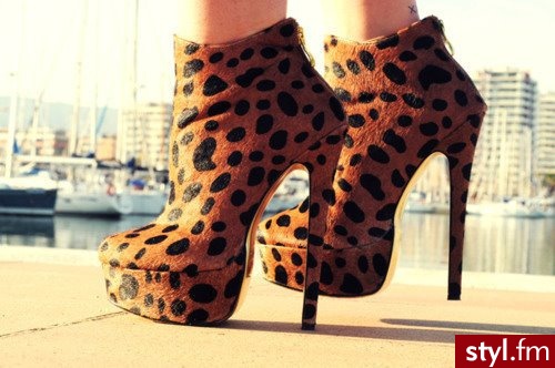 Botki Buty Moda