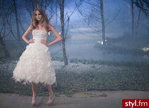 sukienka Zienia - Pozostałe Ciuchy Moda