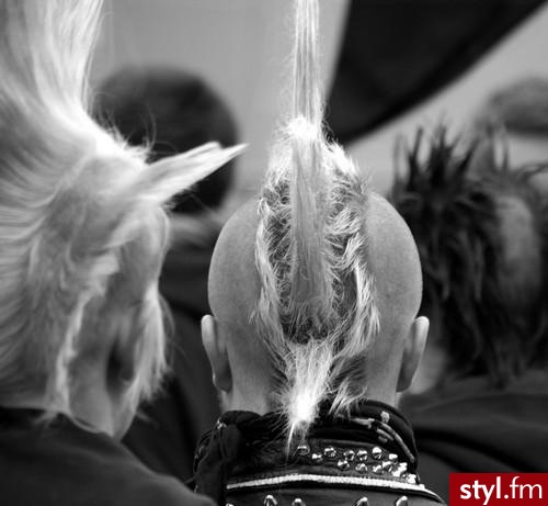 Punk Rock Alternatywne Średnie Fryzury