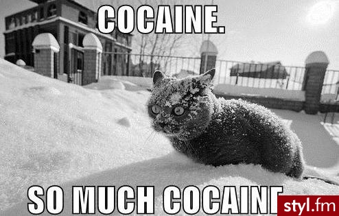 hehehehe - Misz-masz