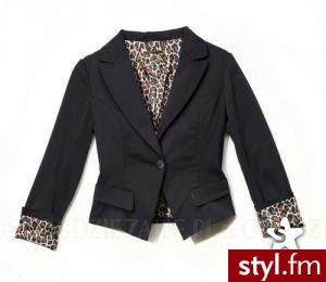 Zdjęcie dodane do bazy zdjęć Stylera - Styler