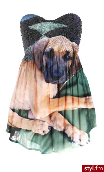 Sukienki Moda