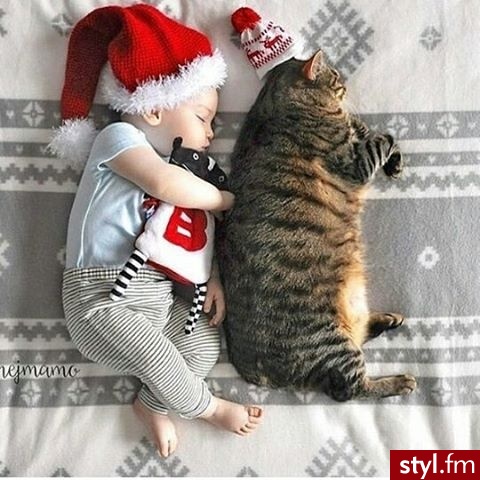 Nasze maluchy Dziecko