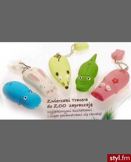 Przenośne pamięci USB o niezwykłych, zwierzęcych kształtach. ;) Dostępne na Allegro po ok. 30 zł, parametry: 2/4 GB USB 2.0. - Gadżety Inne Moda
