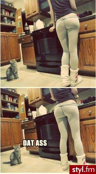 Humor